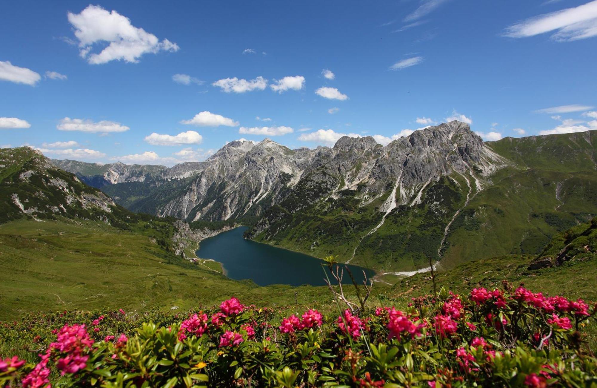 Landhotel Almroesl Im Grossarltal Хютчлаг Экстерьер фото