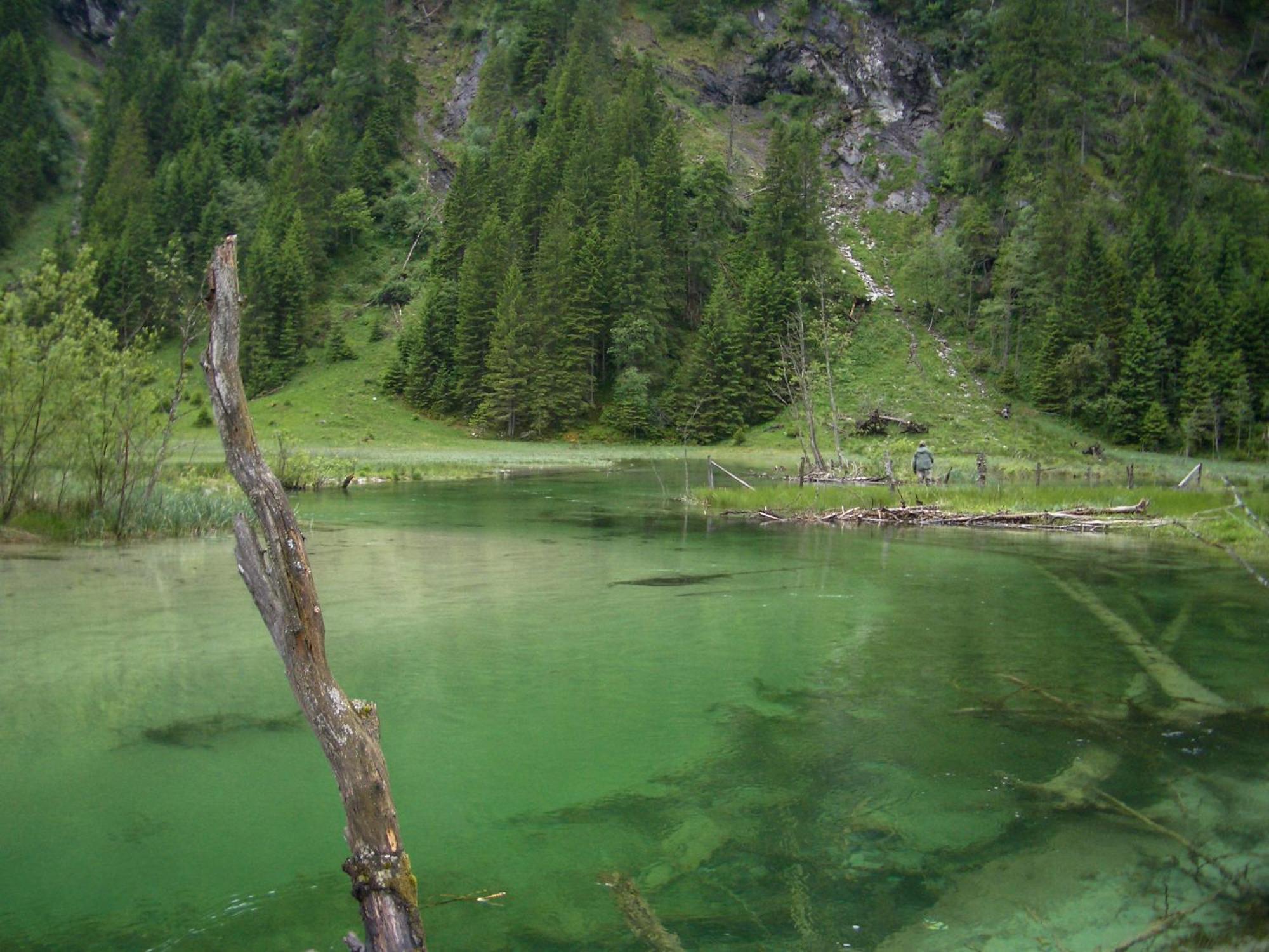 Landhotel Almroesl Im Grossarltal Хютчлаг Экстерьер фото